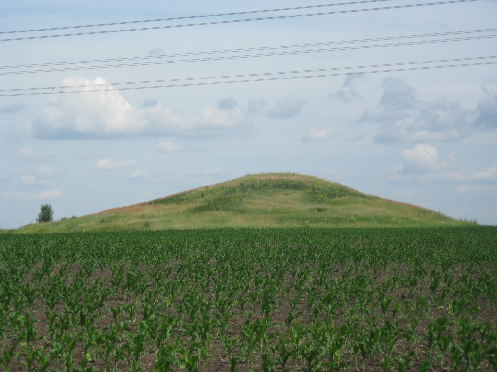 3686-Дп_с. Терно-Лозуватка_Вишнівська селищна територіальна громада.JPG