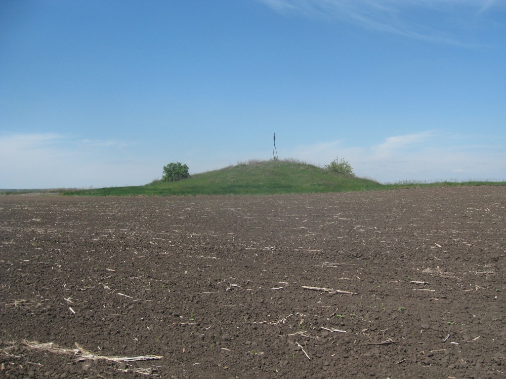 3743-Дп_с. Миколаївка_Лихівська селищна територіальна громада.JPG