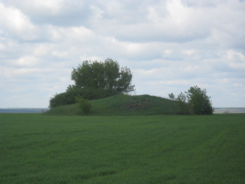 3750-Дп_с. Червона Деріївка_Лихівська селищна територіальна громада.JPG