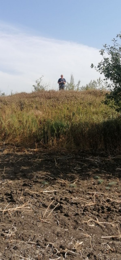 Курган (Мишуста)...jpg